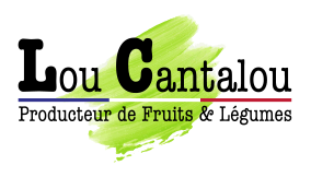 Lou Cantalou