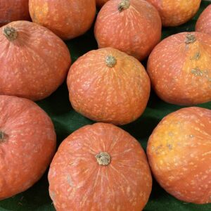 Potimarron