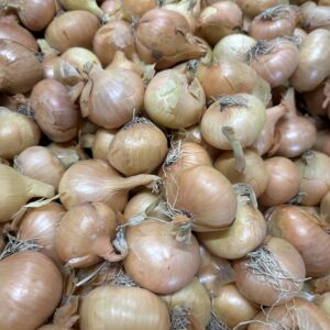Oignons 5kg