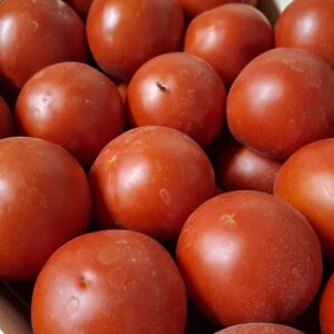 Tomates 1kg