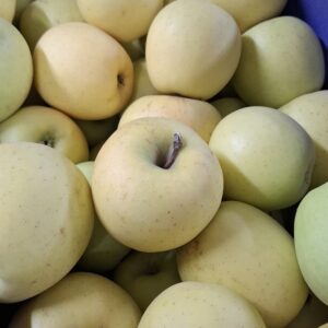 Pomme Golden 2kg500