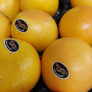 Pomelos Corse 1.5 kg