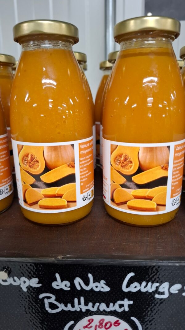 SOUPE DE NOS COURGES 25 CL