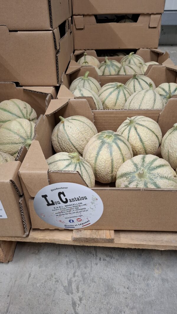 MELON AU PLATEAU