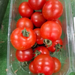 TOMATES COCKTAIL 500GR
