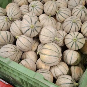 MELON KG