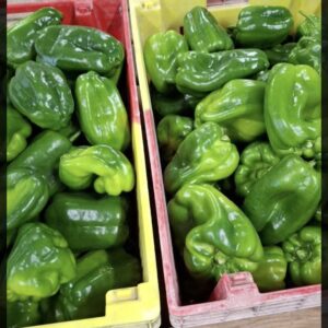 Poivron vert kg
