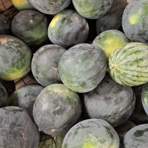 Pastèque pièce