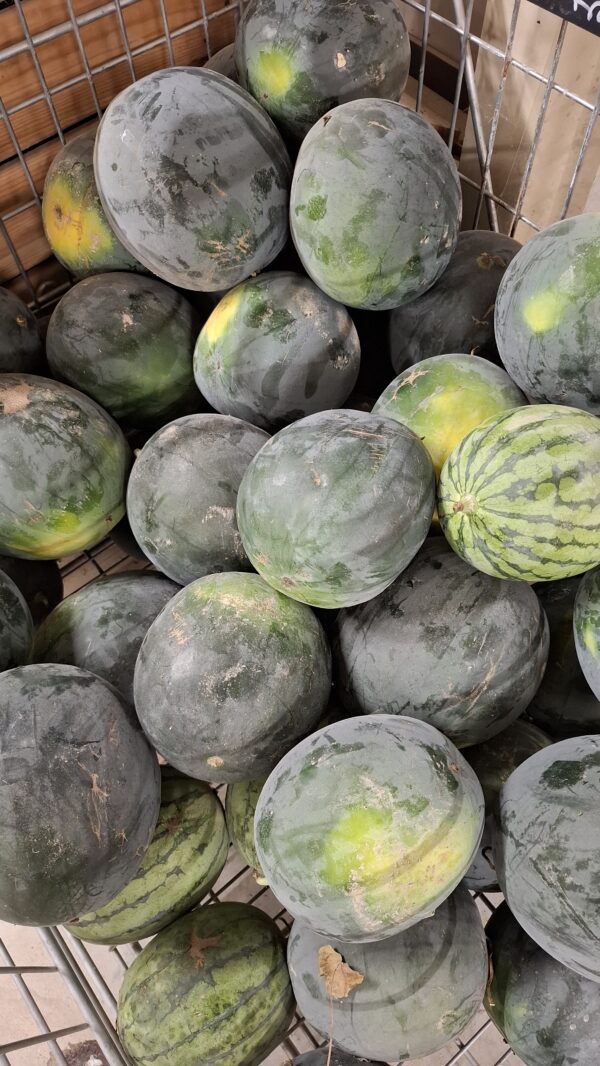 Pastèque pièce
