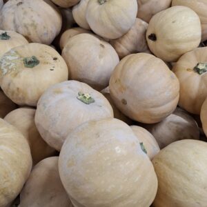 COURGE CARAT PIECE