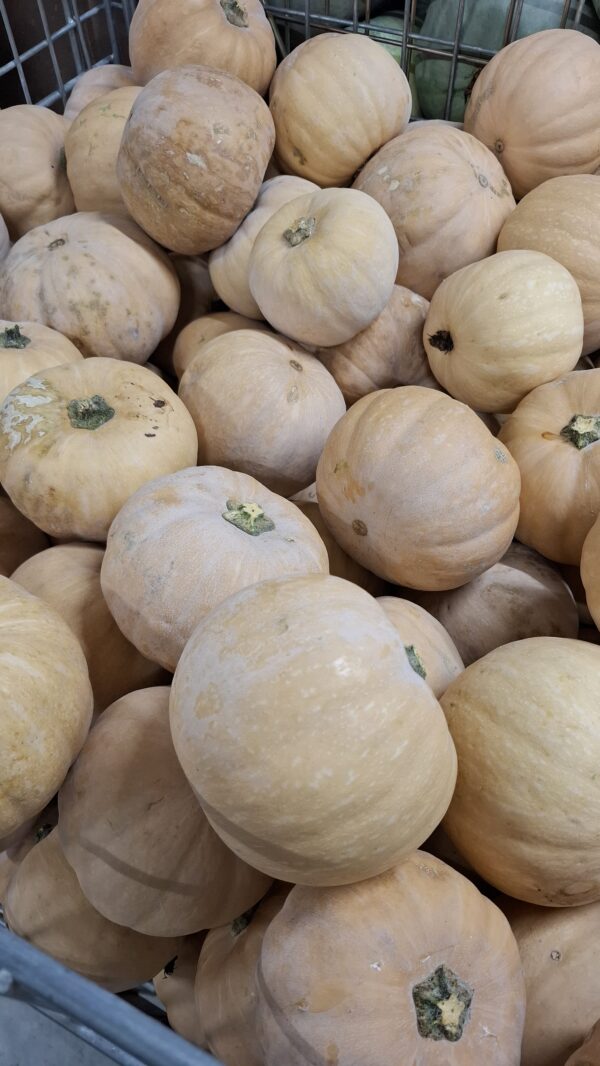 COURGE CARAT PIECE