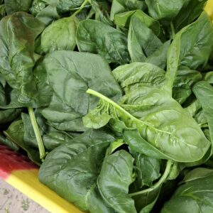 Epinard 3 kg