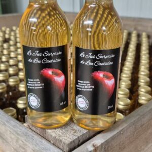 Jus de pomme 25 cl