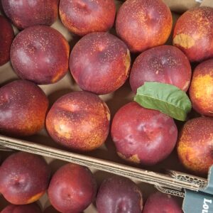 Nectarine Plateau