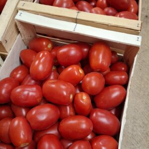 Tomate Longues 2kg500